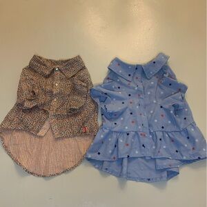 Stylish dog shirts in Blue and pink